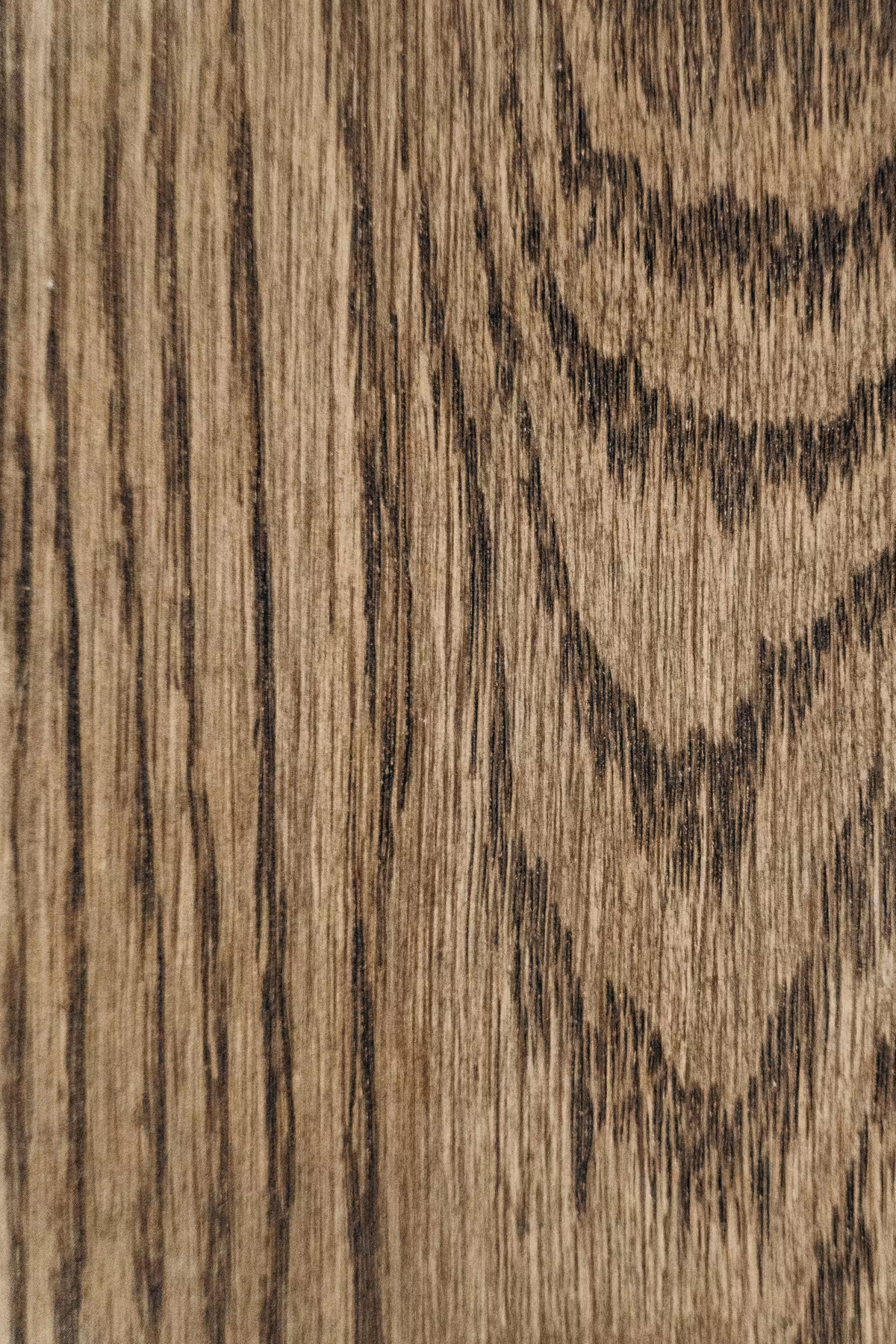 Oak texture